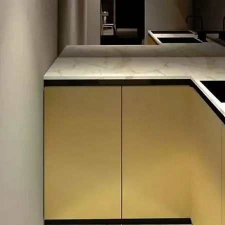 Posh Luxury Apartment